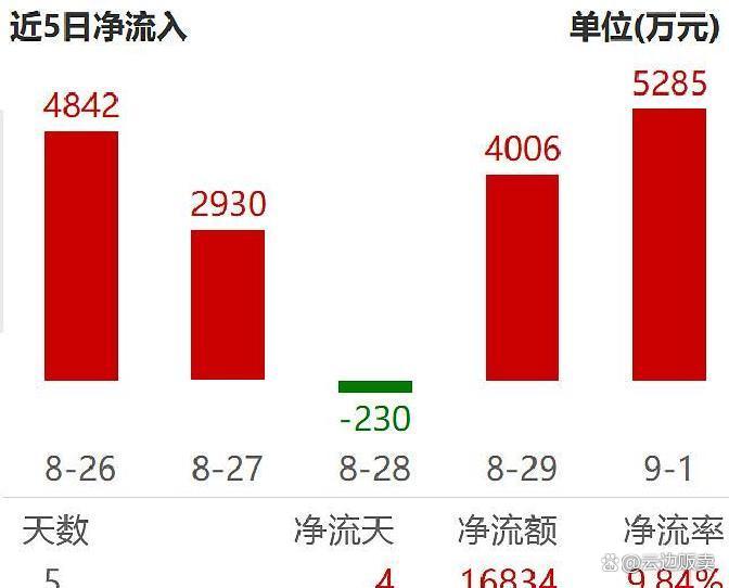 上市板块定位风险(上市各种板块什么意思?)临沂市