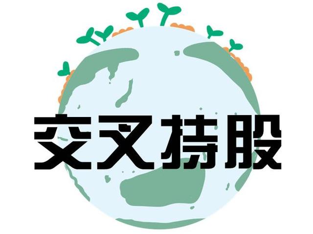 交叉持股安排设计(交叉持股怎么计算持股比例)临沂市