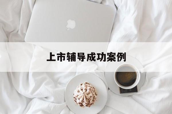 上市辅导成功案例(上市辅导成功后肯定会上市吗)临沂市